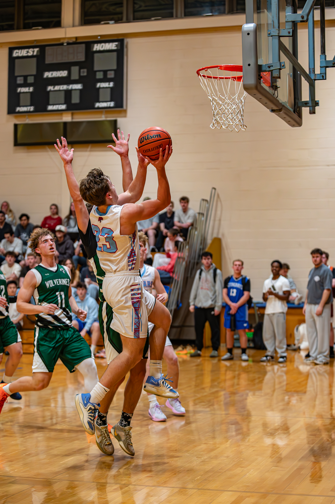 Jaguars vs. Wolverines