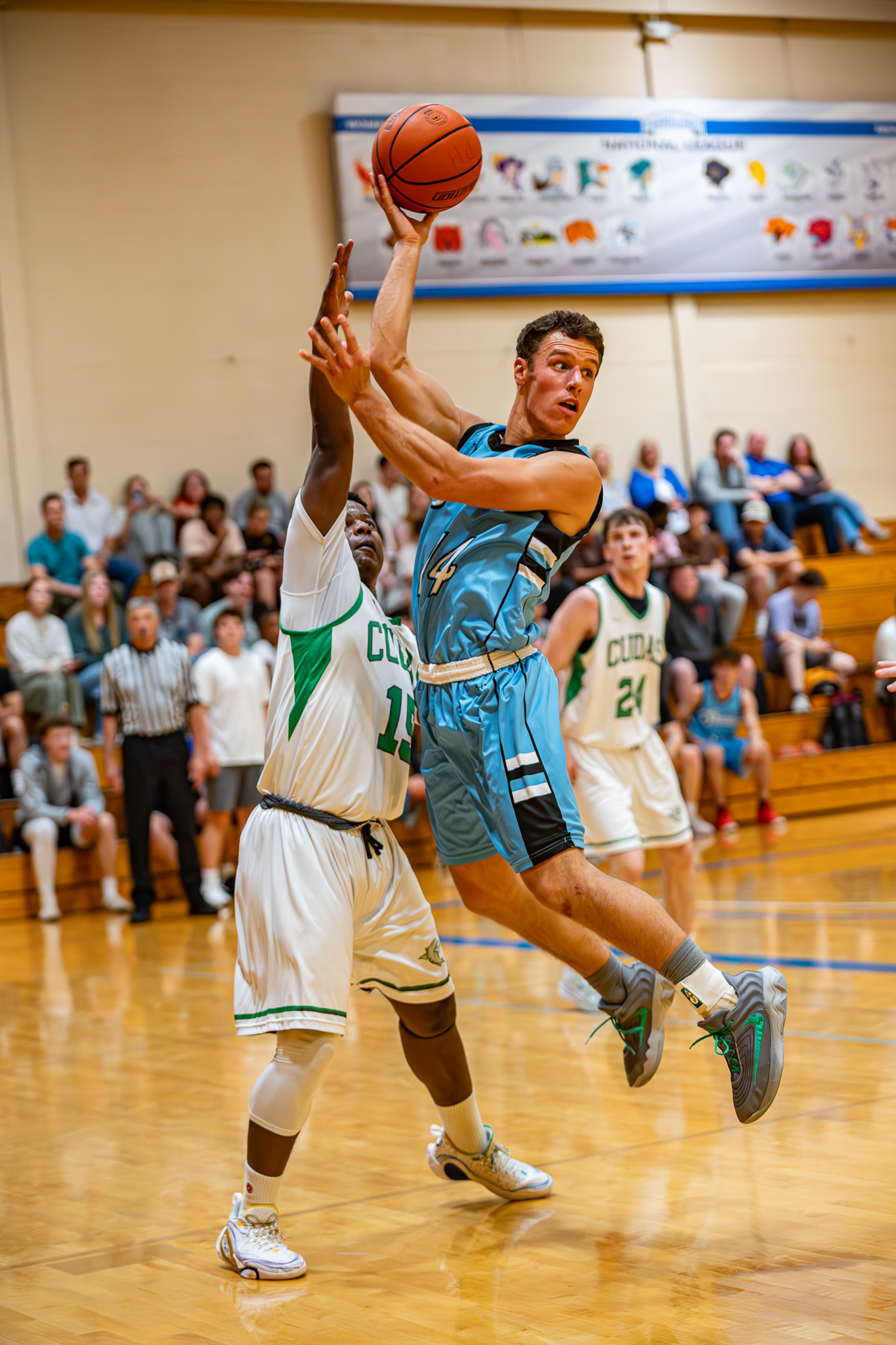 Sharks vs. Barracudas