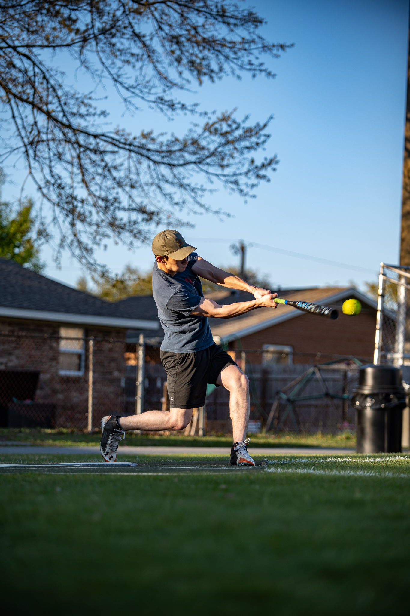 Cougars vs. Wildcats